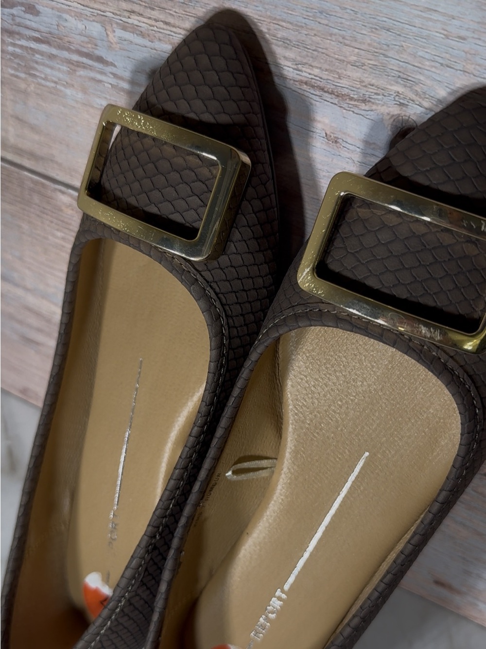 Report Brown Pointed Flats with Gold Buckle
